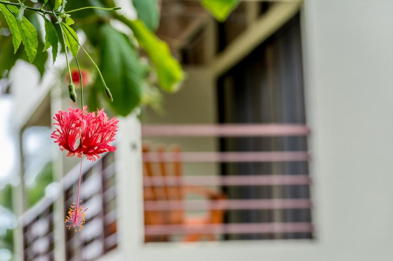 Sea Tower Hotel Puerto Viejo de Talamanca Екстериор снимка
