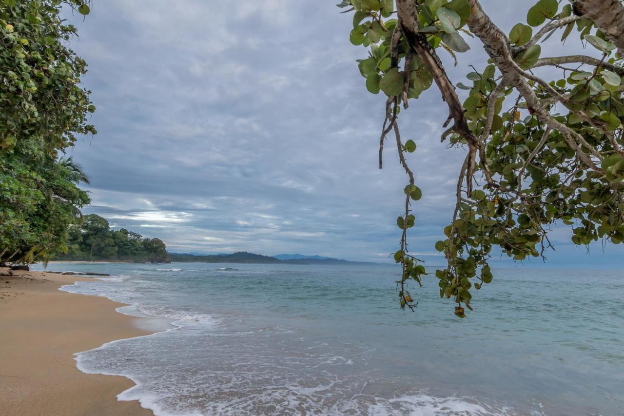 Sea Tower Hotel Puerto Viejo de Talamanca Екстериор снимка